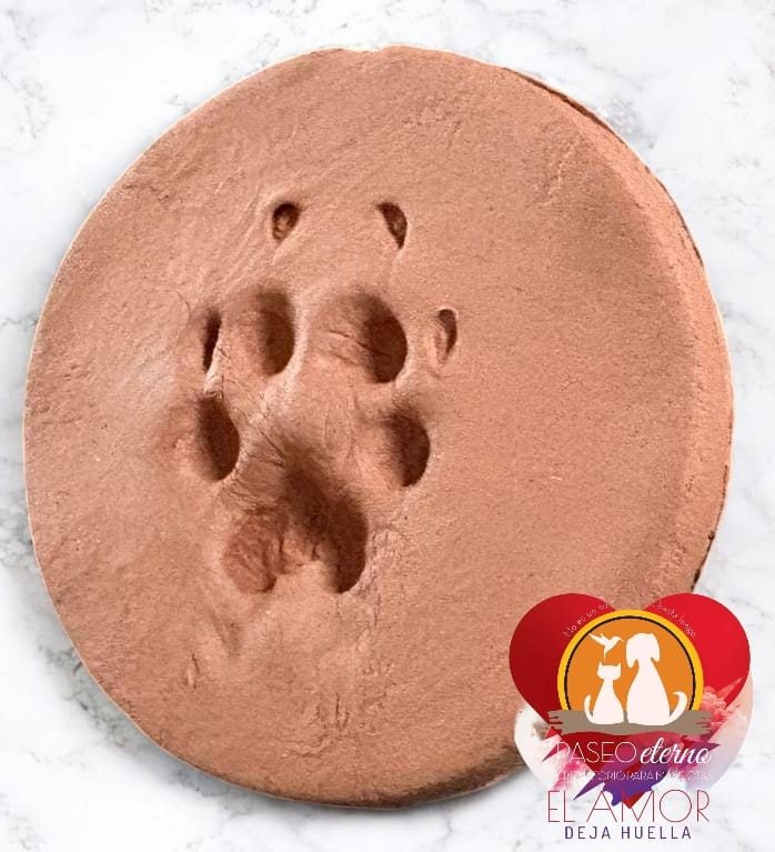Huella de una mascota en arcilla